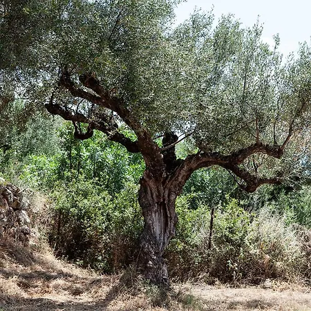 Riverstone With Private Pools Lévktron