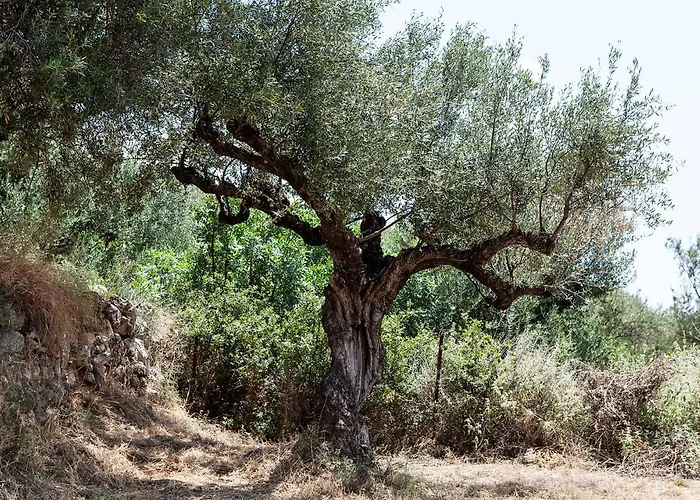 Riverstone With Private Pools Levktron